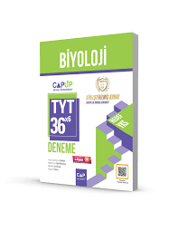 ÇAP UP TYT DENEME BİYOLOJİ 30*6 - 2024